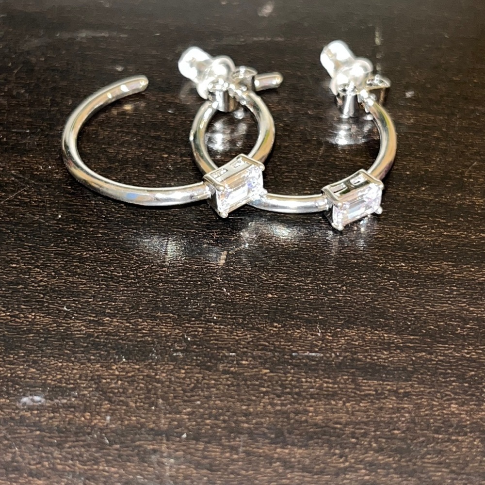 Daniela Swaebe 1” hoop earrings